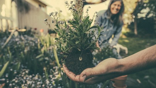 Des jardiniers et paysagistes qualifiés pour vous rendre service!